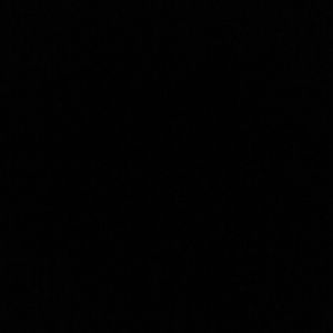 Meet your Posher, Samy